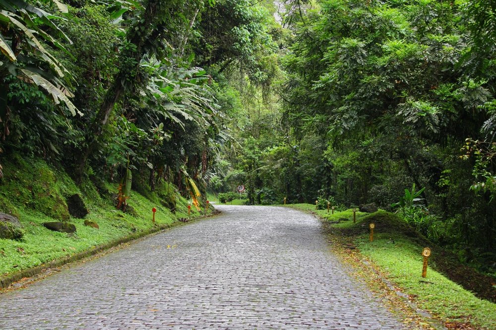 Estrada da Graciosa