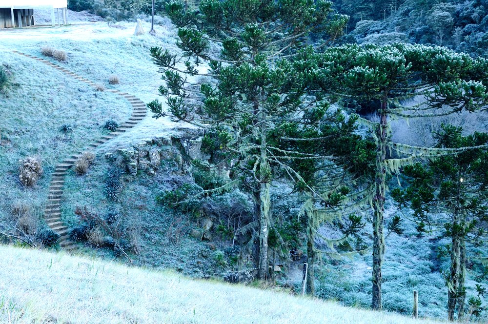 roteiro em Santa Catarina
